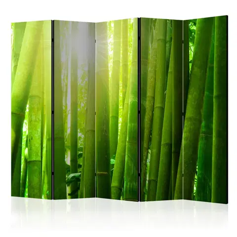 Paravány Paraván Sun and bamboo Dekorhome 225x172 cm (5-dielny)