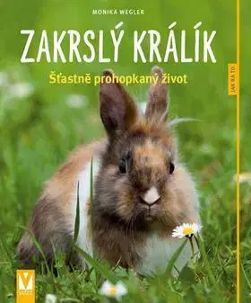 Zvieratá, chovateľstvo - ostatné Zakrslý králík - Monika Weglerová