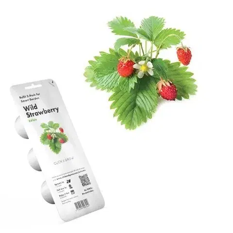 Gadgets Click and Grow lesné jahody PCW-011