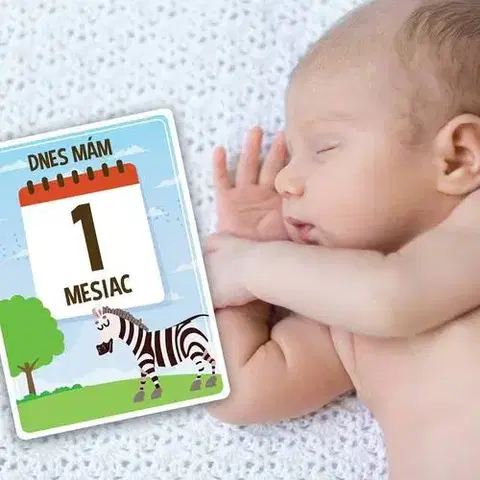 Partnerstvo a rodičovstvo - ostatné Míľnikové kartičky pre prvý rok dieťatka - Milniky.sk