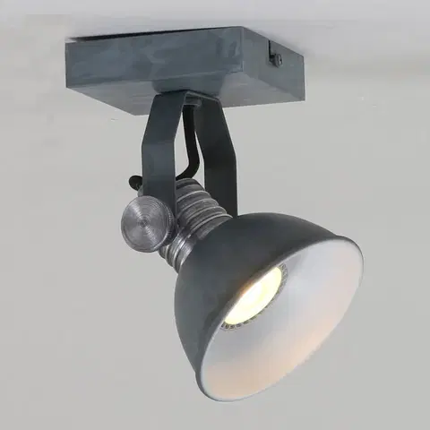 Bodové svetlá Steinhauer LED svietidlo Brooklyn 1-pl. sivé