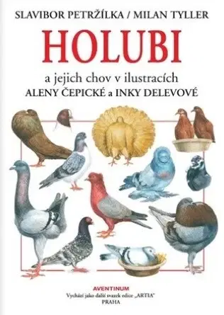 Vtáky, hydina Holubi a jejich chov - Petržílka Slavibor