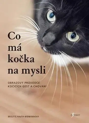 Mačky Co má kočka na mysli, 2. vydání - Brigitte Widmann Rauth