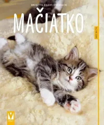 Mačky Mačiatko – Ako na to 2. vyd. - Brigitte Eilert-Overbeck