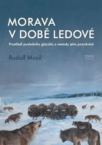 Pre vysoké školy Morava v době ledové - Rudolf Musil