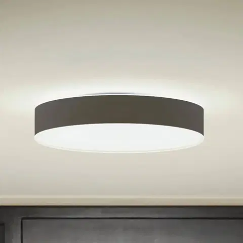 SmartHome stropné svietidlá Philips Hue Philips Hue Enrave stropné LED 38,1 cm čierna