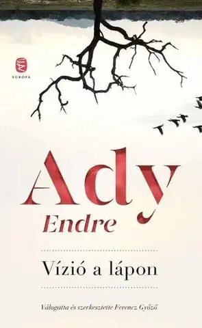 Svetová poézia Vízió a lápon - Endre Ady