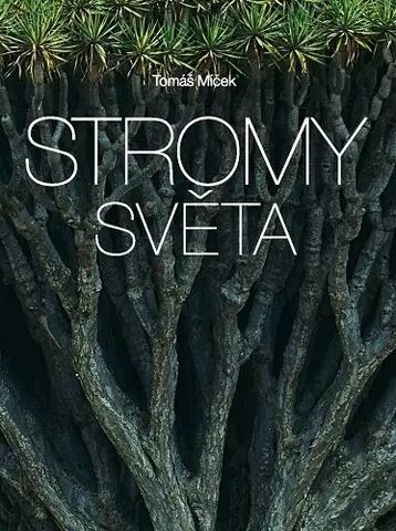 Fotografia Stromy světa - Tomáš Míček