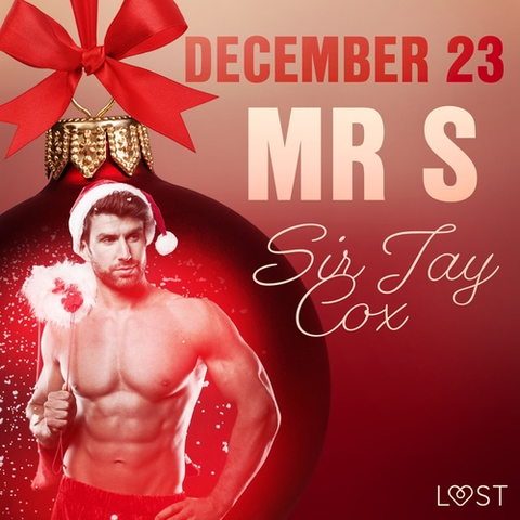 Erotická beletria Saga Egmont December 23: Mr S – An Erotic Christmas Calendar (EN)