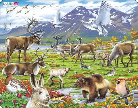 LARSEN puzzle Larsen Puzzle Puzzle Arktické vnútrozemie -zvieratá Larsen FH14-ZZ
