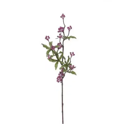 Kvety Umelá vetva s listami a bobuľami, v. 71 cm