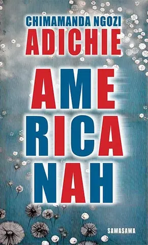Svetová beletria Americanah - Chimamanda Ngozi Adichie