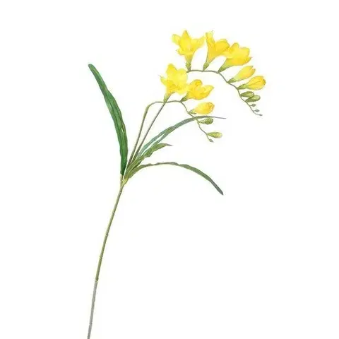 Kvety Umelá kvetina Frézia žltá, 57 cm