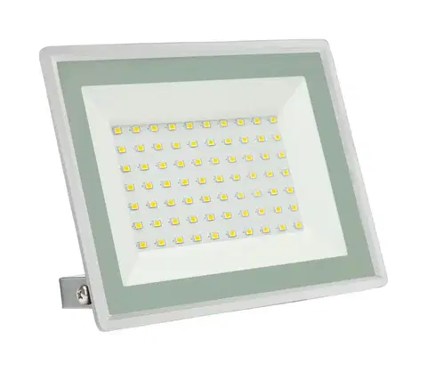 Svietidlá  LED Vonkajší reflektor NOCTIS LUX 3 LED/50W/230V IP65 biela 