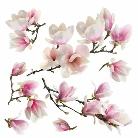 Samolepky na stenu Samolepiaca dekorácia Magnolia blossom, 30 x 30 cm