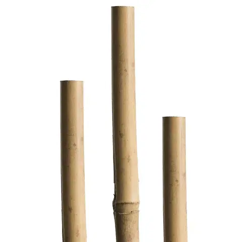 Konštrukcie pre popínavé rastliny Tyč Tonkin  90 cm, 6/8 mm, 7 ks – 05607