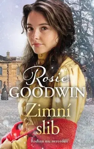 Historické romány Zimní slib - Rosie Goodwin