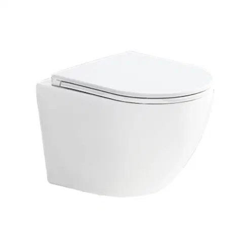 Kúpeľňa MEREO - WC závesné kapotované, Smart Flush RIMLESS, 495x360x370, keramické, vr. sedátka CSS113S VSD82T1