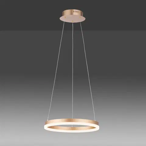 Závesné svietidlá Paul Neuhaus LED závesné svietidlo Titus okrúhle Ø40cm mosadzná