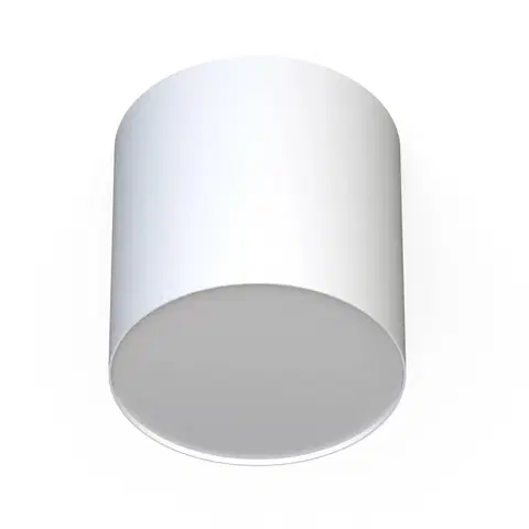 Lampy na nočný stolík Euluna Stropné svietidlo Point Plexi M, biela