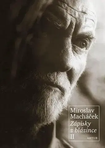 Film, hudba Zápisky z blázince II - Miroslav Macháček