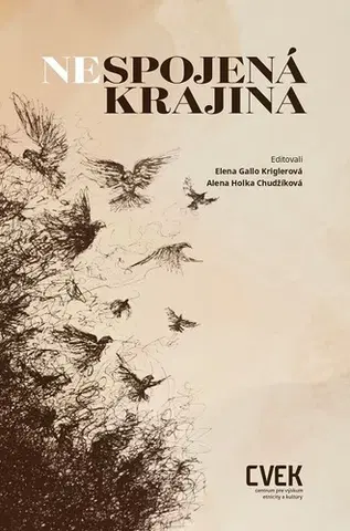 Sociológia, etnológia Nespojená krajina - Kriglerová Gallo Elena,Chudžíková Holka Alenka (eds.)