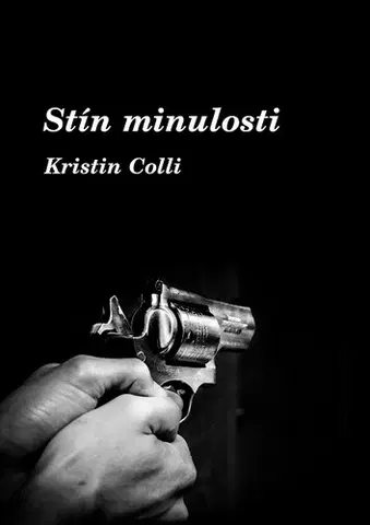 Detektívky, trilery, horory Stín minulosti - Kristin Colli