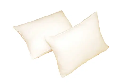 Prikrývky na spanie Forbyt Vnútro do vankúša, biely, 34 x 43 cm, obdĺžnik