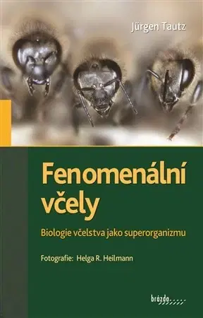 Hmyz Fenomenální včely - Jürgen Tautz