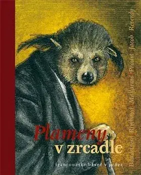 Novely, poviedky, antológie Plameny v zrcadle - Zdeněk Hron