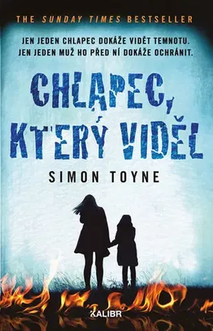 Detektívky, trilery, horory Chlapec, který viděl - Simon Toyne