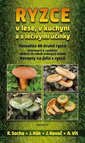 Šaláty, zelenina, ovocie Ryzce v lese, v kuchyni a s léčivými účinky - Radomír Socha