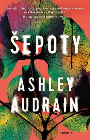 Detektívky, trilery, horory Šepoty - Ashley Audrain