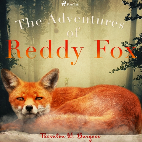 Pre deti a mládež Saga Egmont The Adventures of Reddy Fox (EN)