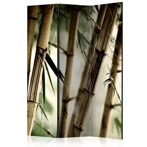 Paravány Paraván Fog and bamboo forest Dekorhome 135x172 cm (3-dielny)