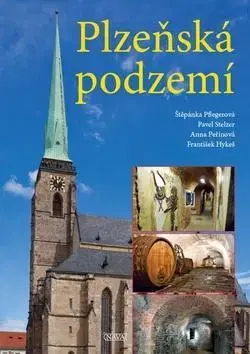 Slovenské a české dejiny Plzeňská podzemí - Kolektív autorov