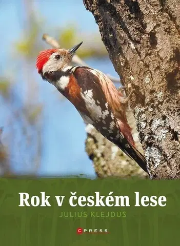 Zvieratá, chovateľstvo - ostatné Rok v českém lese