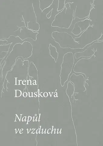 Česká poézia Napůl ve vzduchu - Irena Dousková