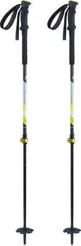 Trekingové palice McKinley Arctic Wolf Poles